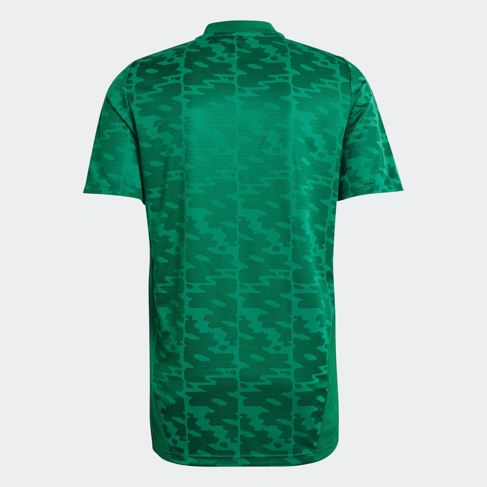 Algeria Away 20/21 | Fan Edition